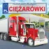 Kolor / wzór produktu #65