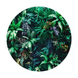 fototapeta-samoprzylepna-okragla-naklejka-scienna-liscie-dzungla-natura