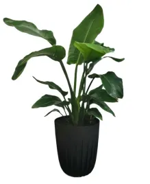 doniczka-plastikowa-z-wkladem-na-kwiaty-ozdobna-19-cm-czarna