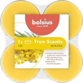 bolsius-true-scents-podgrzewacz-zapachowy-maxi-mimosa-8szt