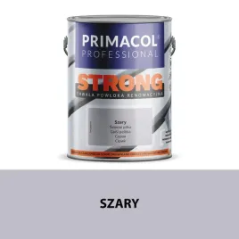 strong-farba-na-drewno-i-beton-25l-szary