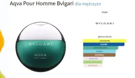 bvlgari-aqva-pour-homme-100-ml-edt-wawa-marriott-orginal
