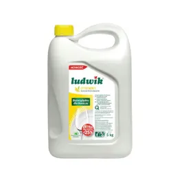 ludwik-plyn-do-mycia-naczyn-cytrynowy-zapas-duzy-kanister-opakowanie-5l
