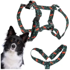 szelki-dla-psa-guard-regulowane-kwiaty-l-25mm-border-colie-buldog