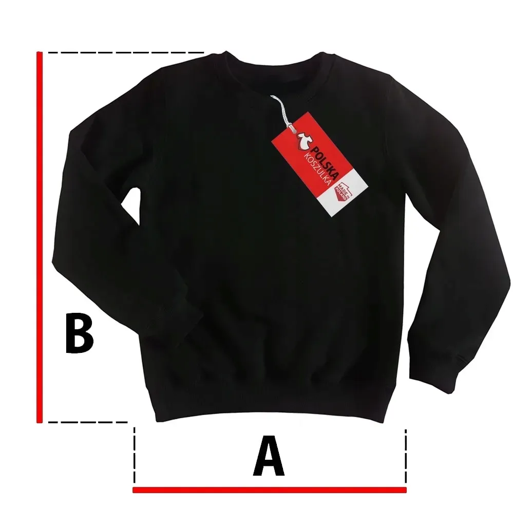 super-jakosc-bluza-robin-dc-comics-152