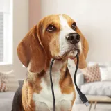 kabel-usb-typ-c-usb-typ-c-12m-60w-super-jakosc-stan-nowy-kod-producenta-ladowanie-typ-typ-c-oryginalny-c