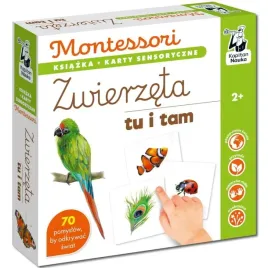 kapitan-nauka-karty-sensoryczne-montessori-zwierzeta-tu-i-tam