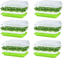 kielkownica-pojemniki-6x-do-hodowania-kielek-rzezuchy-trawy-32x26-pokrywka