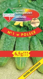 ogorek-sremski-mieszaniec-f1-65g-spojnia-wczesny-bardzo-odporny