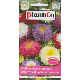aster-chinski-pomponowy-callistephus-chinensis-mix-1g