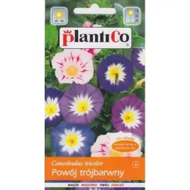 powoj-trojbarwny-mieszanka-mix-plozacy-nasiona-2g