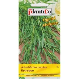 estragon-005g-plantico-wieloletni-bardzo-aromatyczny