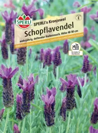 lawenda-francuska-sperli-s-kronjuwel-nasiona-premium-sperli