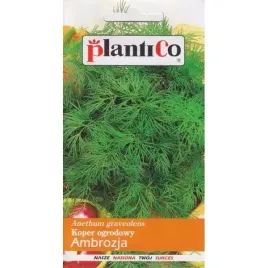 koper-ogrodowy-ambrozja-sredniowczesny-nasiona-kopru-ogrodowego-warzyw-5-g