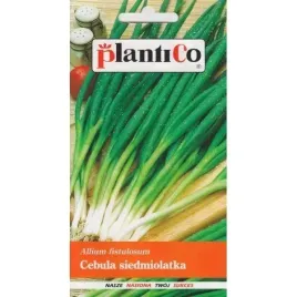 cebula-siedmiolatka-kroll-2g-wieloletnia-lagodny-smak-zbior-wczesna-wiosna