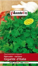 nasiona-warzyw-pietruszka-lisciowa-gigante-d-italia-5g-nasiona-plantico