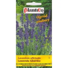 lawenda-lekarska-nasiona-ziol-i-kwiatow-02g