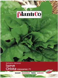 szpinak-orbita-tworzy-duze-rozety-mieszaniec-f1-nasiona-plantico-10-g