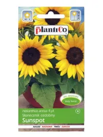 slonecznik-ozdobny-helianthus-annus-sunspot-2g-plantico-nasiona