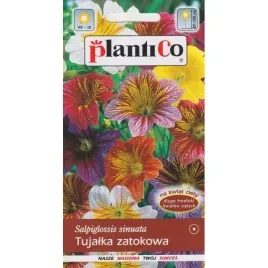 tujalka-zmienna-mix-ozdobne-kwiaty-nasiona-kwiatow-plantico-05g