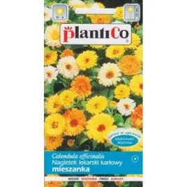 nagietek-lekarski-niski-karlowy-mix-plantico-2g-nasiona-nagietka