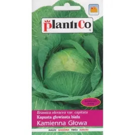 nasiona-warzyw-kapusta-glowiasta-biala-kamienna-glowa-24g-nasiona