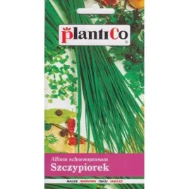 cebula-siedmiolatka-kroll-szczypiorek-wczesna-wieloletnia-nasiona-1-g