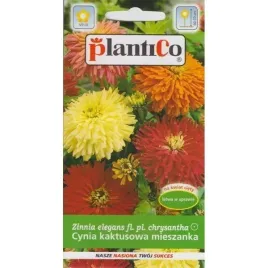cynia-kaktusowa-mix-1g-nasiona-plantico-cynia-chryzantemowa