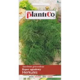 koper-herkules-5g-aromatyczny-na-swiezo-i-do-kiszenia-nasiona-plantico
