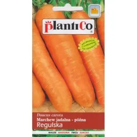 nasiona-plantico-marchew-jadalna-regulska-5-g-pozna-odporna-na-choroby