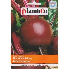 burak-cwiklowy-nochowski-plenny-10-g-nasiona-buraka-plantico