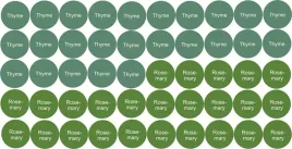 naklejki-na-probki-olejki-eteryczne-2x25-szt-thyme-rosemary