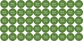 etykiety-na-probki-naklejki-na-olejki-eteryczne-melaleuca-50-szt