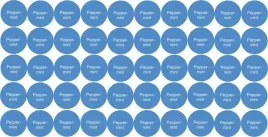 etykiety-na-probki-naklejki-na-olejki-eteryczne-peppermint-50-szt