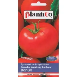 pomidor-bardzo-wczesny-gruntowy-karlowy-bohun-nasiona-1g-plantico