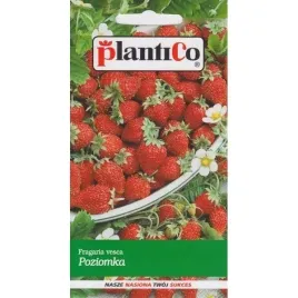 nasiona-warzyw-poziomka-bezrozlogowa-baron-von-solemacher-02g-nasiona