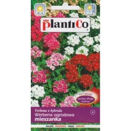 werbena-ogrodowa-mix-kolorow-nasiona-kwiatow-05g