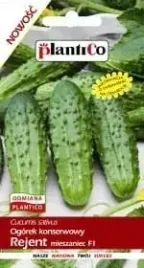 ogorek-gruntowy-rejent-f1-sr-wczesny-plenn-smukly-nasiona-ogorki-5-g