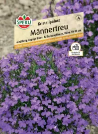 lobelia-przyladkowa-kristallpalast-nasiona-premium-sperli