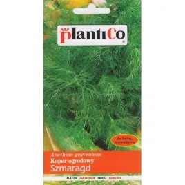 koper-ogrodowy-szmaragd-sredniopozny-nasiona-warzyw-kopru-do-kiszenia-5g