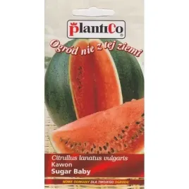 nasiona-warzyw-arbuz-sugar-baby-slodki-soczysty-2-g-nasiona-plantico