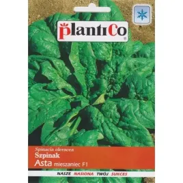 szpinak-asta-f1-wczesny-nasiona-szpinaku-warzyw-10-g-plantico