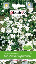 gipsowka-wytworna-biala-nasiona-kwiaty-gipsowki-plantico-1g-jednoroczna
