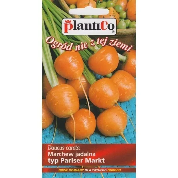 marchew-pariser-markt-5-nasiona-2-g