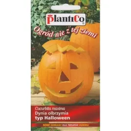 dynia-olbrzymia-big-max-typ-halloween-owoc-do-45-kg-2g-plantico-nasiona