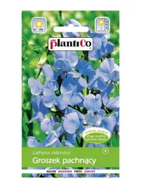 groszek-pachnacy-jasnoniebieski-pnacze-nasiona-2g