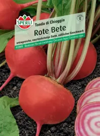 burak-cwiklowy-tonda-di-chioggia-nasiona-premium-sperli
