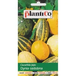 dynia-ozdobna-pnaca-cucurbita-pepo-mix-nasiona-2g-jednoroczna