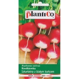 rzodkiewka-szkarlatna-z-bialym-koncem-10g-plantico