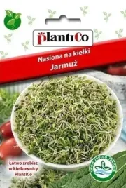 nasiona-na-kielki-jarmuz-5g-plantico-pyszne-zdrowe-kielki-jarmuzu